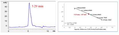 CDK7 Protein