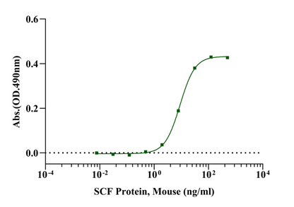 SCF Protein, Mouse