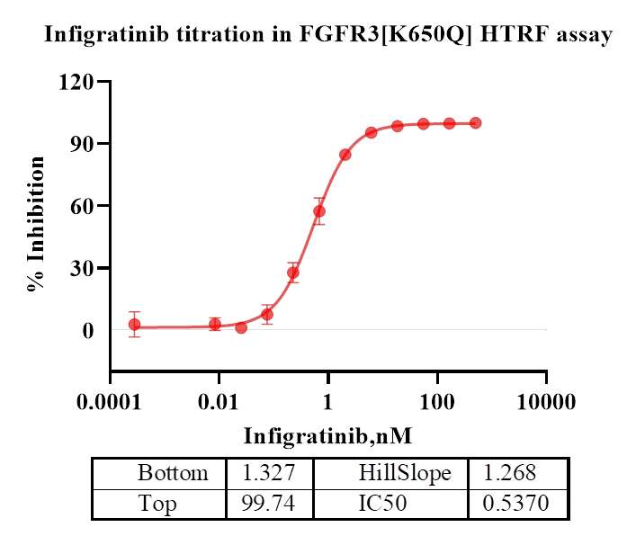 FGFR3[K650Q] Protein