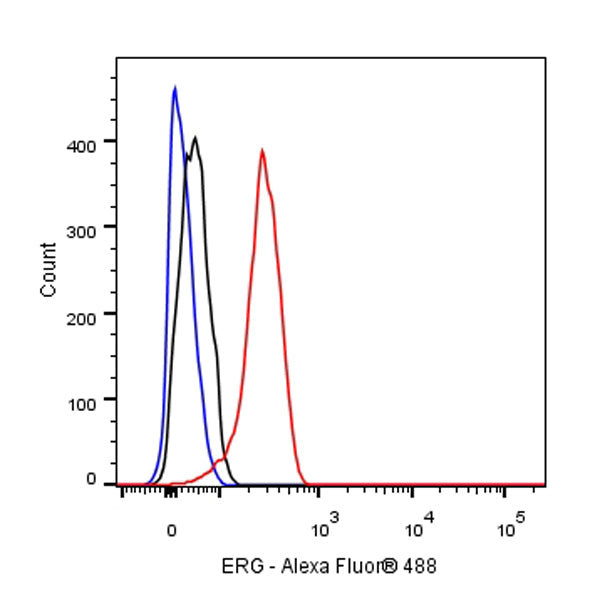 ERG Recombinant Rabbit mAb,PBS Only (SDT-190-65)