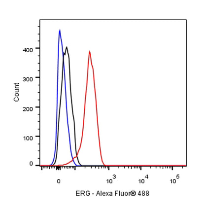 ERG Recombinant Rabbit mAb,PBS Only (SDT-190-65)