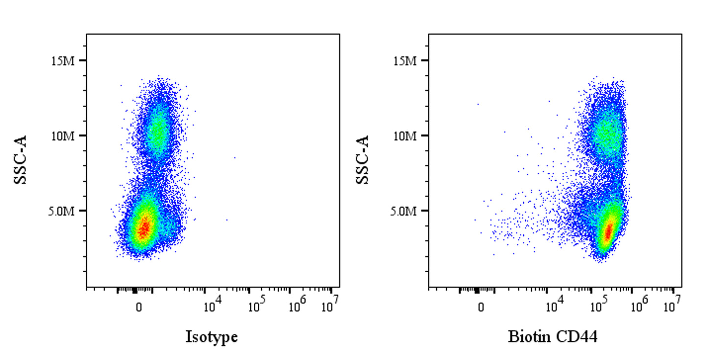 Biotin Rabbit Anti-Human CD44 Antibody (S-944-25)