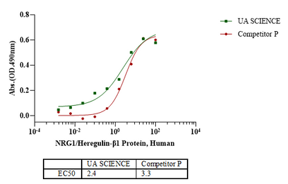 NRG1/Heregulin-β1 Protein, Human