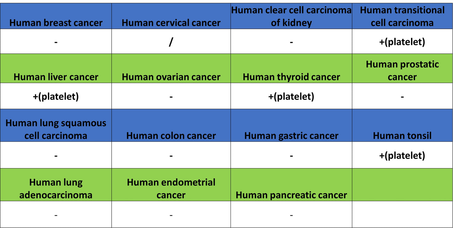 CD41 Mouse mAb (S-3057-8)