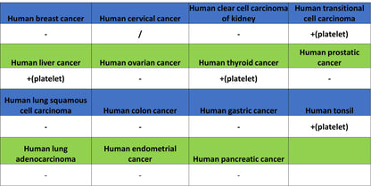CD41 Mouse mAb (S-3057-8)