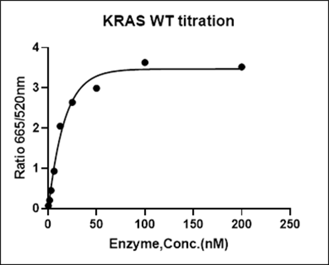 KRAS Avi&His Tag Protein, Human(Load GDP/GMPPNP)