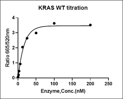 KRAS Avi&His Tag Protein, Human(Load GDP/GMPPNP)