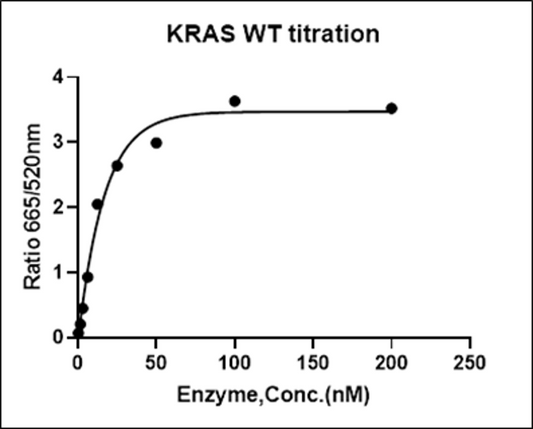 KRAS Avi&His Tag Protein, Human(Load GDP/GMPPNP)