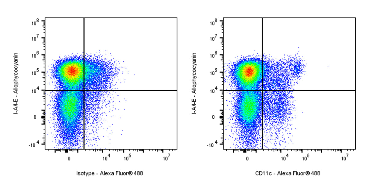 Alexa Fluor® 488 Armenian hamster Anti-Mouse CD11c Antibody (N418)