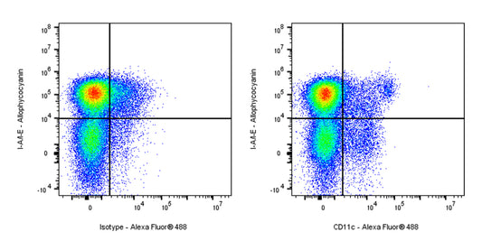 Alexa Fluor® 488 Armenian hamster Anti-Mouse CD11c Antibody (N418)