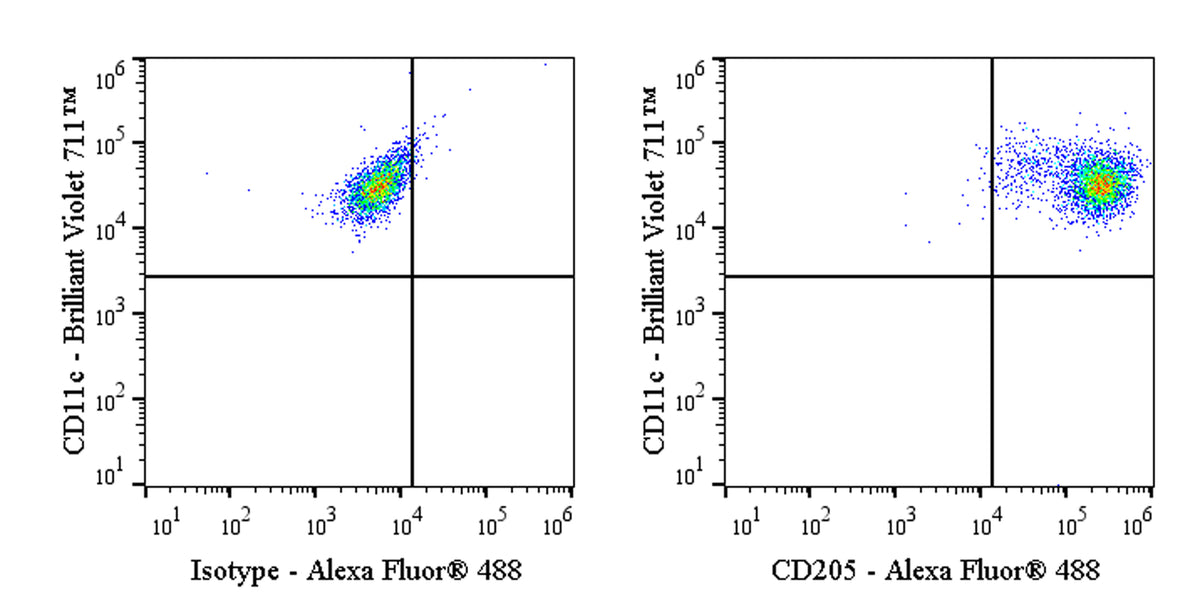 Alexa Fluor® 488 Mouse Anti-Human CD205 Antibody (S-3023)