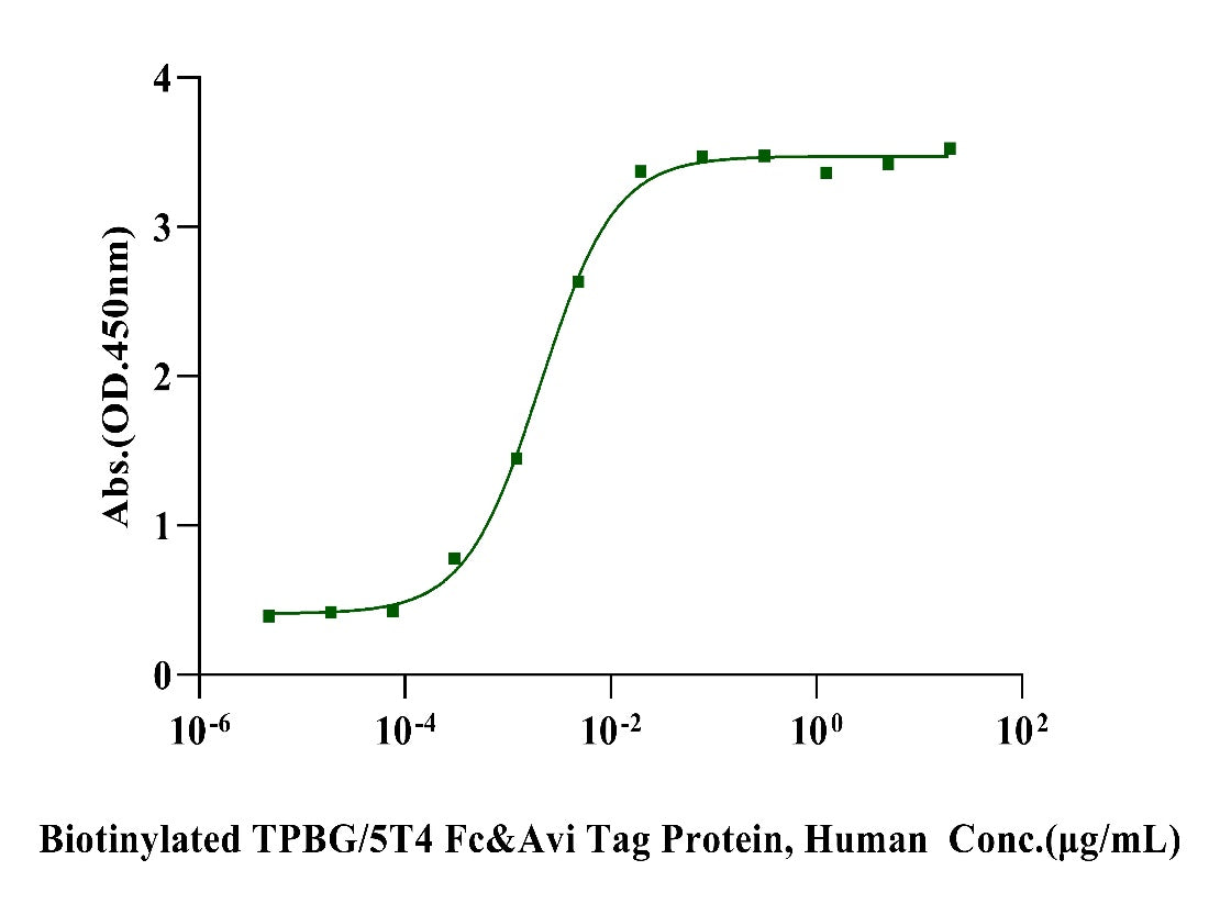 Biotinylated TPBG/5T4 Fc&Avi Tag Protein, Human