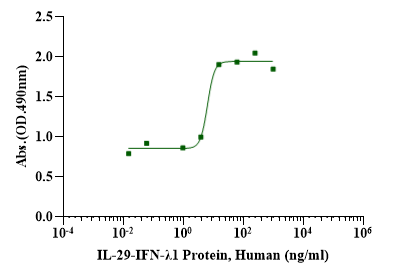 IL-29/IFN-λ1 Protein, Human