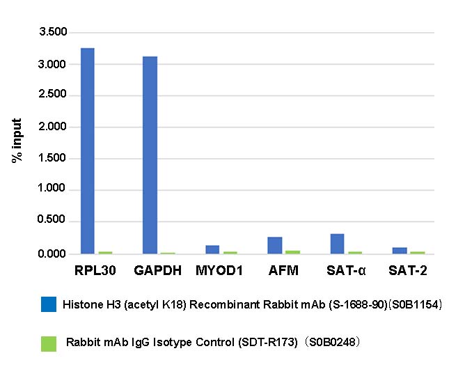 Histone H3 (acetyl K18) Recombinant Rabbit mAb (S-1688-90)