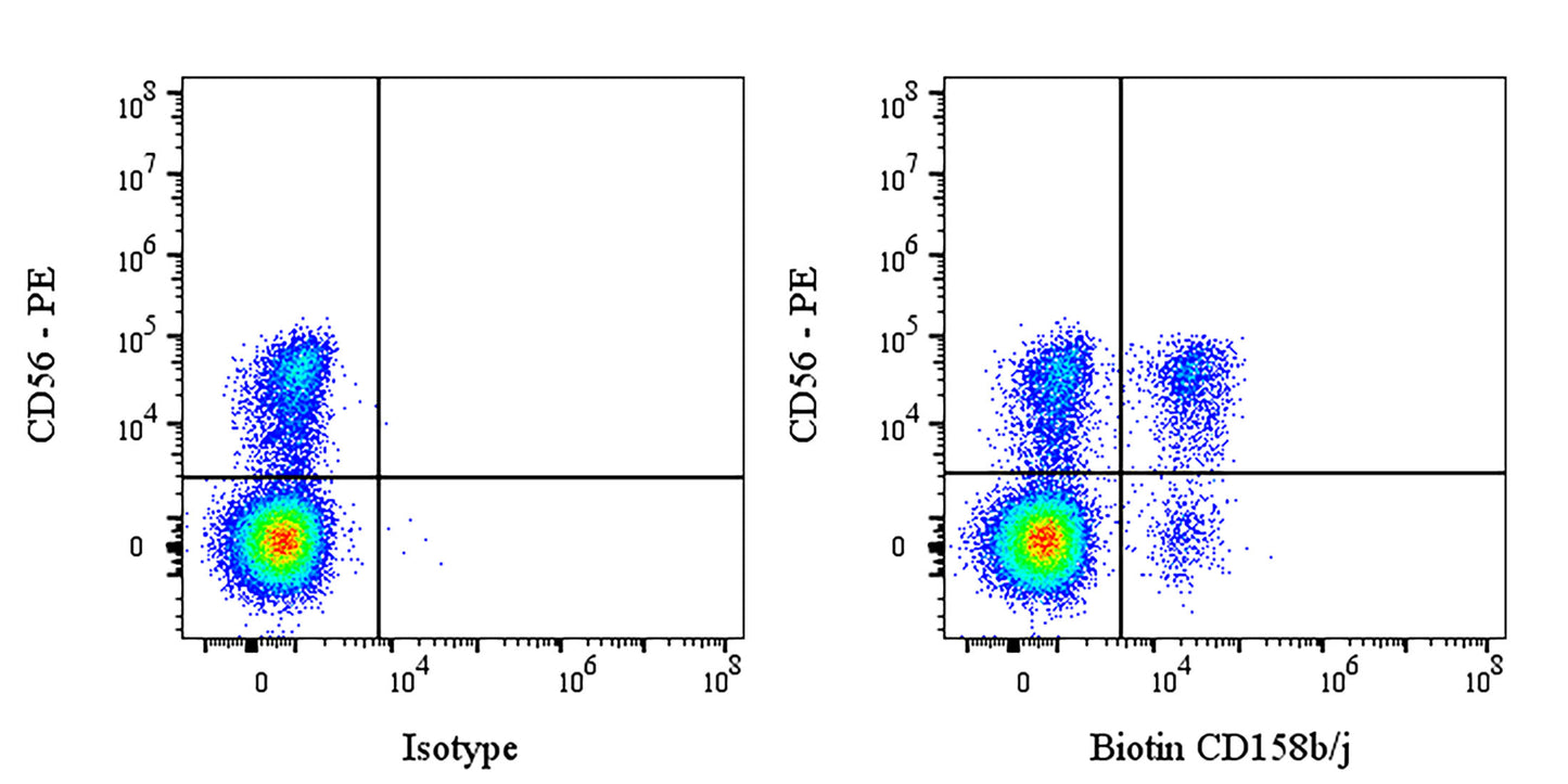 Biotin Mouse Anti-Human CD158b/j Antibody (S-2917)