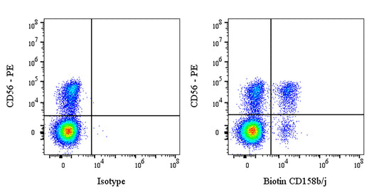 Biotin Mouse Anti-Human CD158b/j Antibody (S-2917)