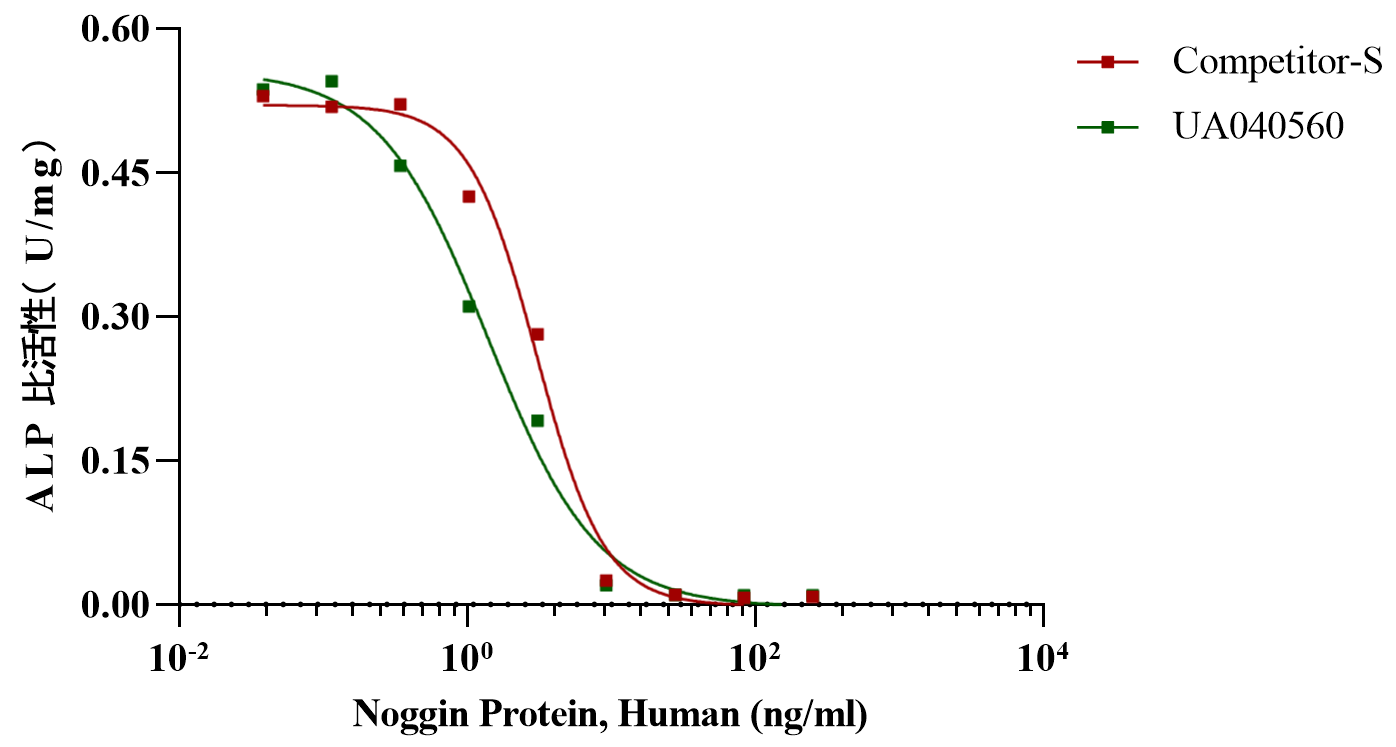 Noggin Protein, Human