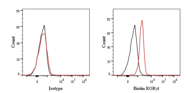 Biotin Mouse Anti-Mouse RORγt Antibody (S-4440)