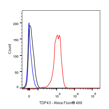 TDP43 Recombinant Rabbit mAb (S-R354)