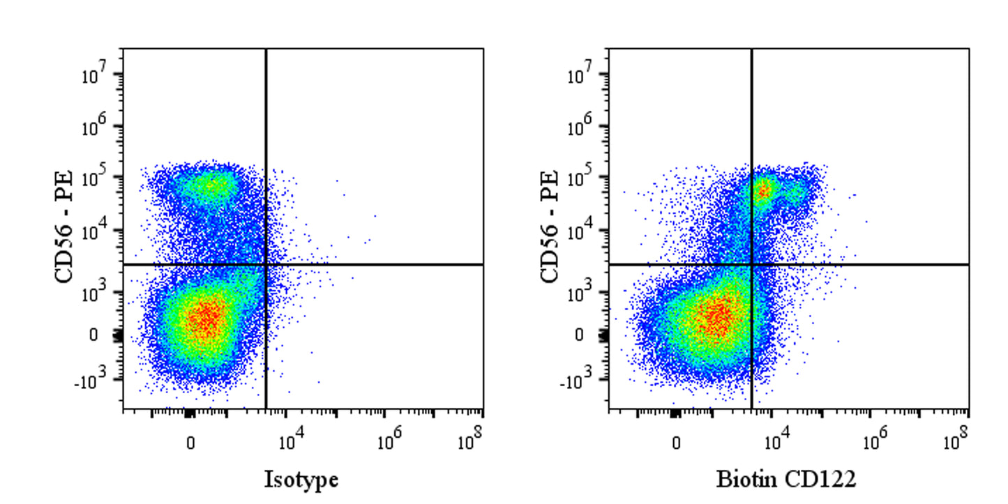 Biotin Mouse Anti-Human CD122 Antibody (S-2880)