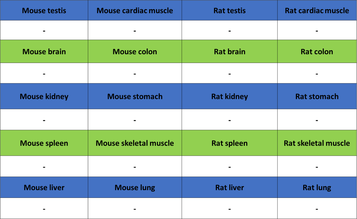 Cytokeratin 1 Recombinant Rabbit mAb (SDT-3225-22)