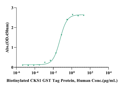 SKP2 GST Tag Protein, Human