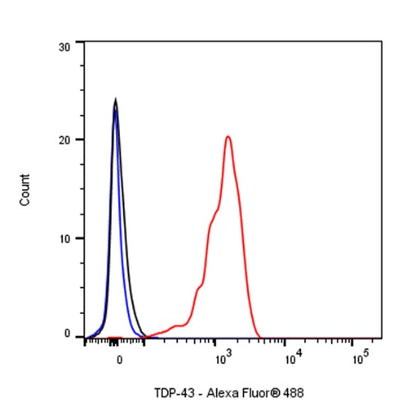 TDP-43 Recombinant Rabbit mAb (S-989-41)