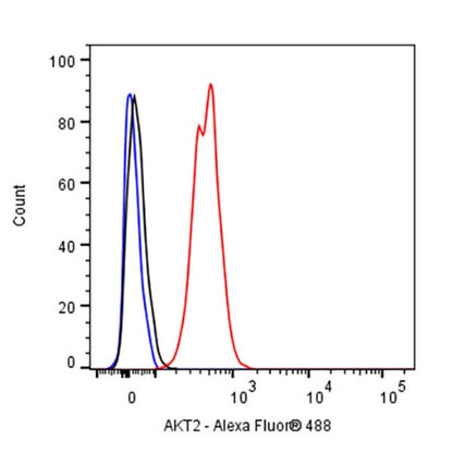 AKT2 Recombinant Rabbit mAb (S-2617-6)