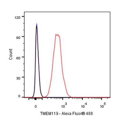 TMEM119 Recombinant Rabbit mAb (S-838-46)