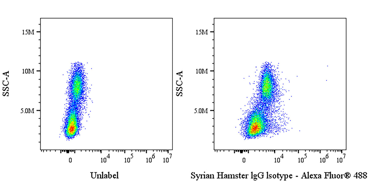 Syrian Hamster IgG Isotype Control