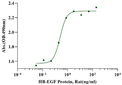 HB-EGF Protein, Rat