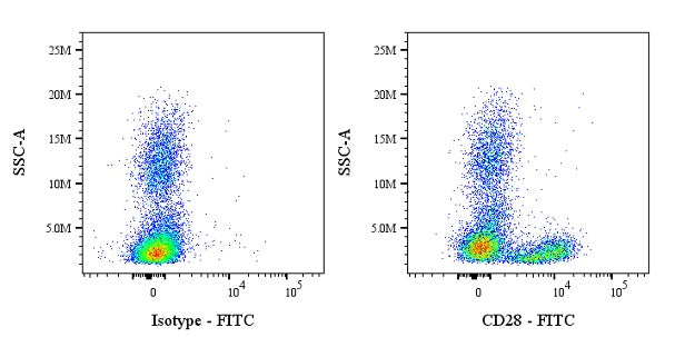 FITC Mouse Anti-Human/ Monkey CD28 Antibody (CD28.2)