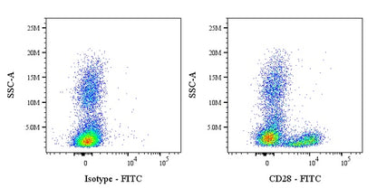 FITC Mouse Anti-Human/ Monkey CD28 Antibody (CD28.2)