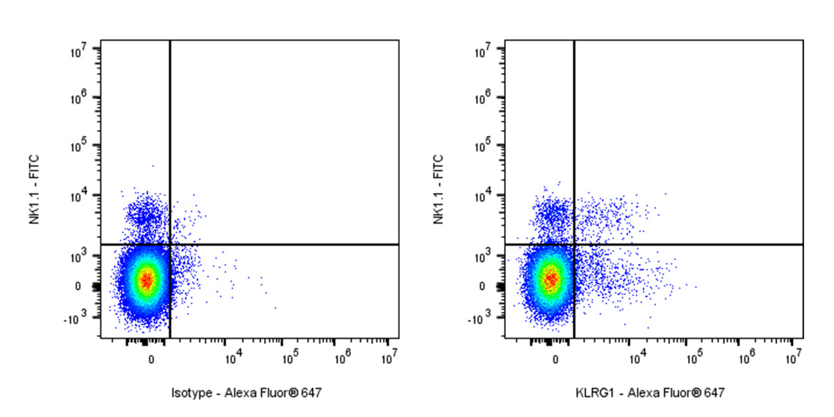 Alexa Fluor® 647 Armenian hamster Anti-Mouse/Human KLRG1 Antibody (2F1)