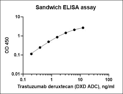 Monoclonal Anti-DXD Antibody