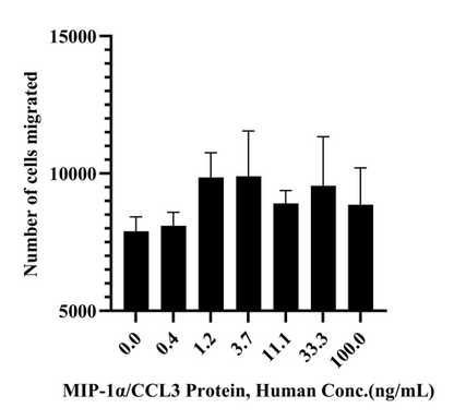 MIP-1α/CCL3 Protein, Human