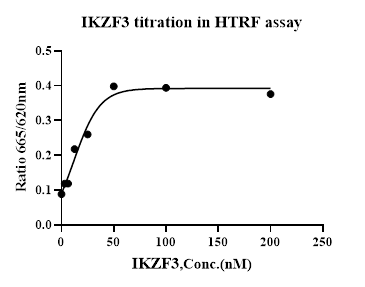 IKZF3 GST Tag Protein, Human