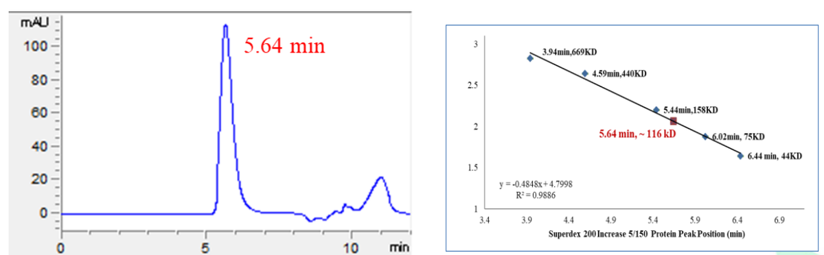IKKβ GST Tag Protein, Human