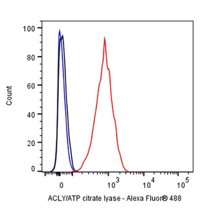 ACLY/ATP citrate lyase Recombinant Rabbit mAb (S-2025-32)