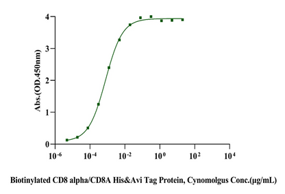 Biotinylated CD8 alpha/CD8A His&Avi Tag Protein, Cynomolgus