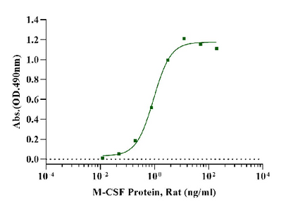 M-CSF Protein, Rat