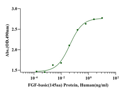 FGF-basic(145aa) Protein, Human