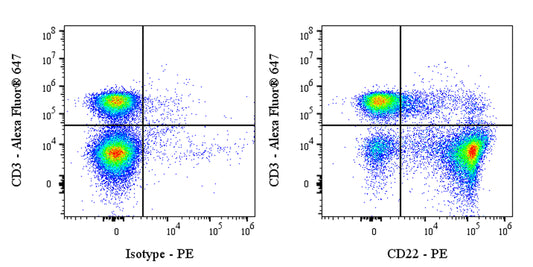 PE Rat Anti-Mouse CD22 Antibody (OX-97)
