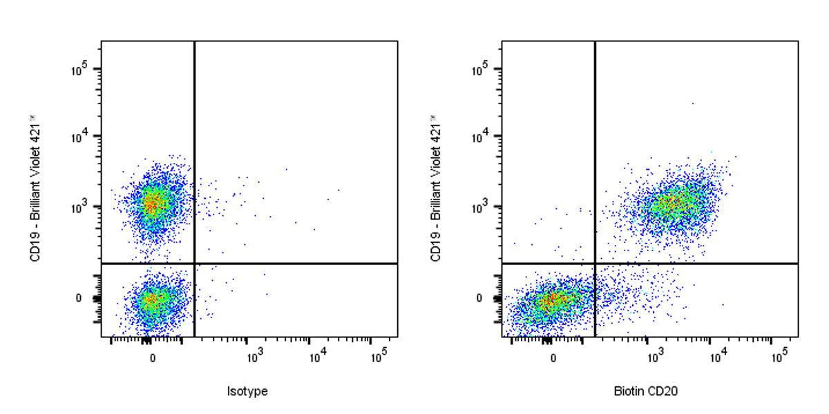 Biotin Rat Anti-Mouse CD20 Antibody (S-R497)