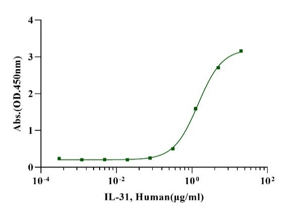 IL-31 Protein, Human