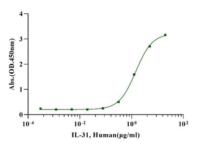IL-31 Protein, Human
