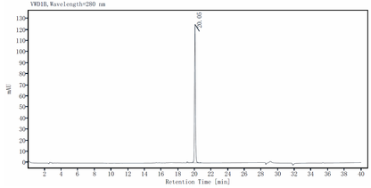 IL-11 Protein, Human