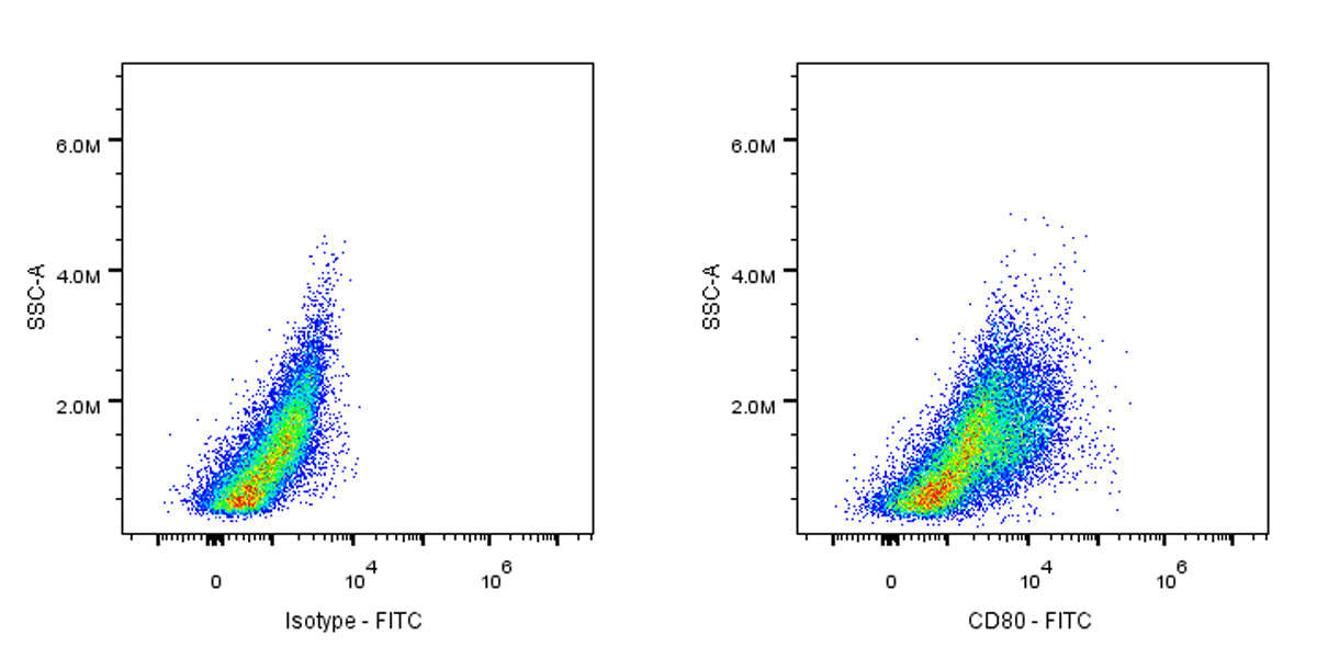 FITC Armenian hamster Anti-Mouse CD80 Antibody (16-10A1)