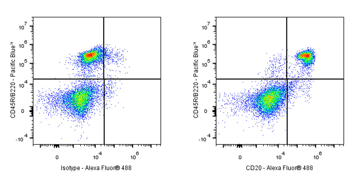 Mouse Anti-Mouse CD20 Antibody (S-3682)