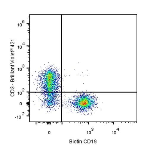 Biotin Rat Anti-Mouse CD19 Antibody (1D3)